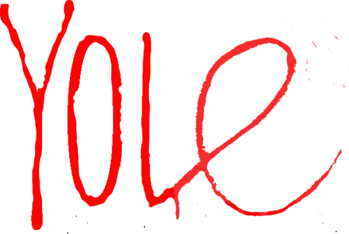 Yole Africa red handwritten logo footer brand identity eastern Congo